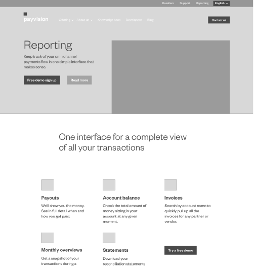 Early design of the Payvision reporting page